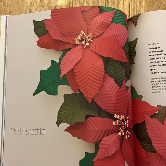 The Art of Paper Flowers By Bobby Pearce - Picture 12 of 12